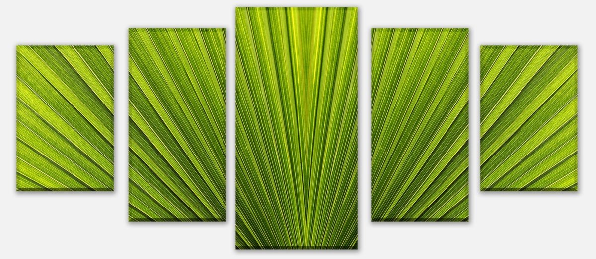 Leinwandbild Mehrteiler Palmblatt Nahaufnahme M1003 entdecken - Bild 1