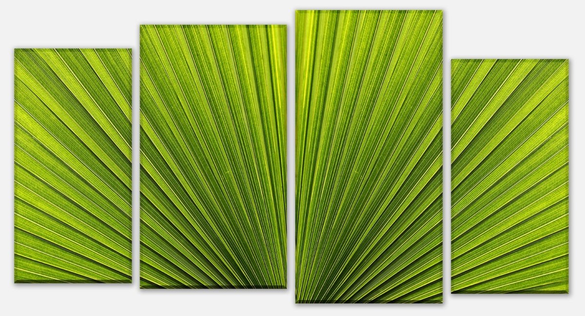 Canvas print Divider palm leaf close-up M1003