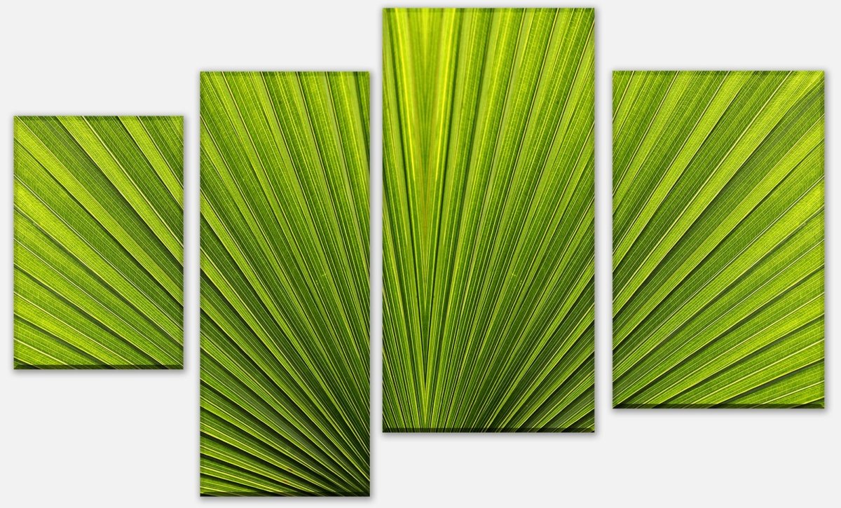 Tableau sur toile Séparateur feuille de palmier gros plan M1003