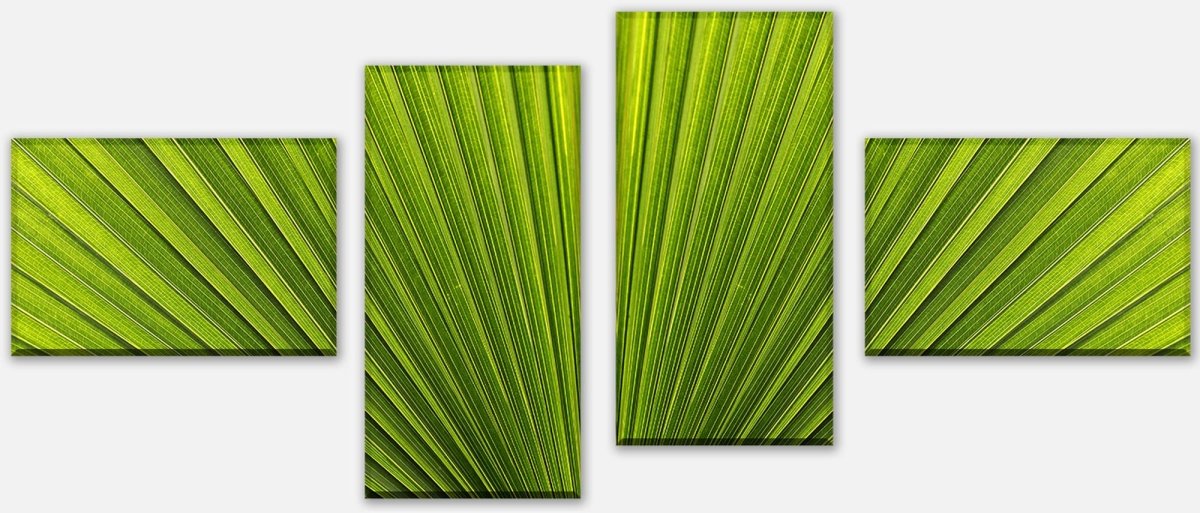 Leinwandbild Mehrteiler Palmblatt Nahaufnahme M1003