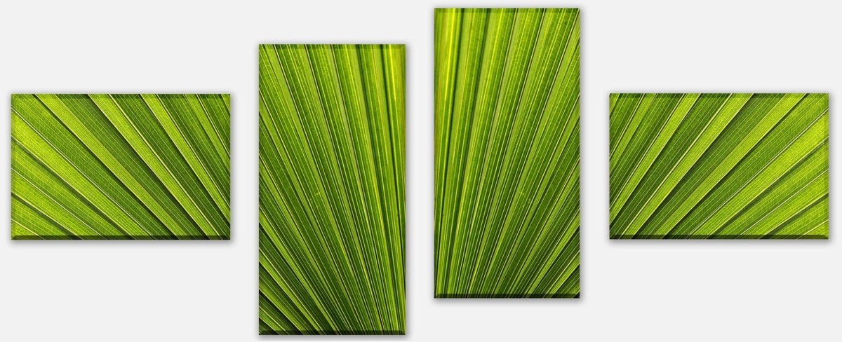 Tableau sur toile Séparateur feuille de palmier gros plan M1003