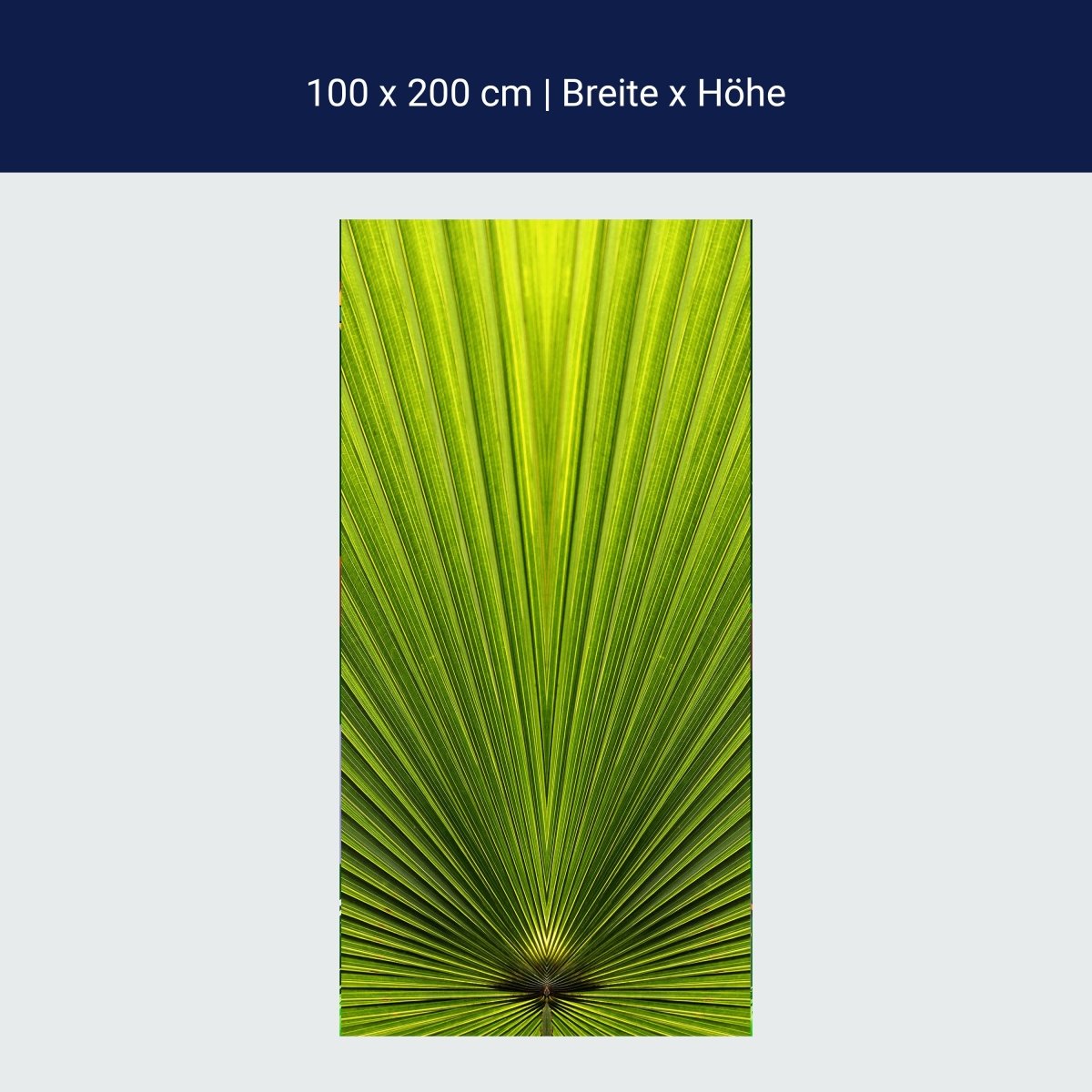 Türtapete Palmblatt Nahaufnahme M1003