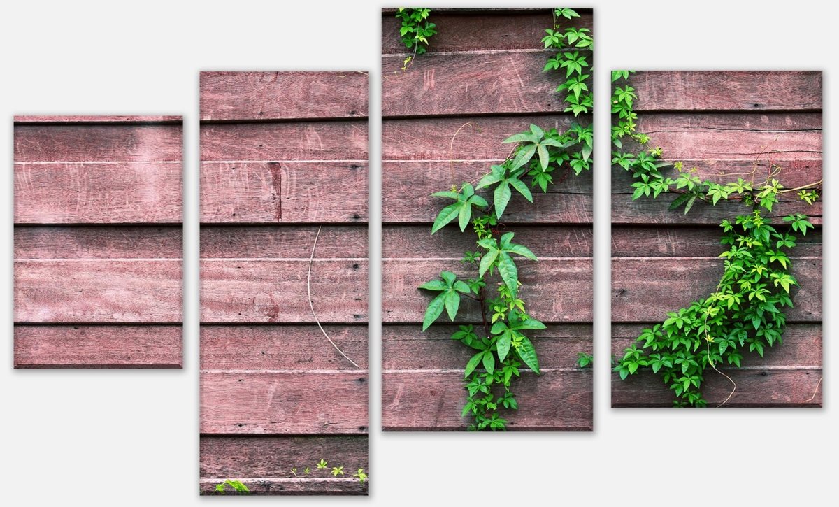 Leinwandbild Mehrteiler Wand mit Kletterpflanze M1004