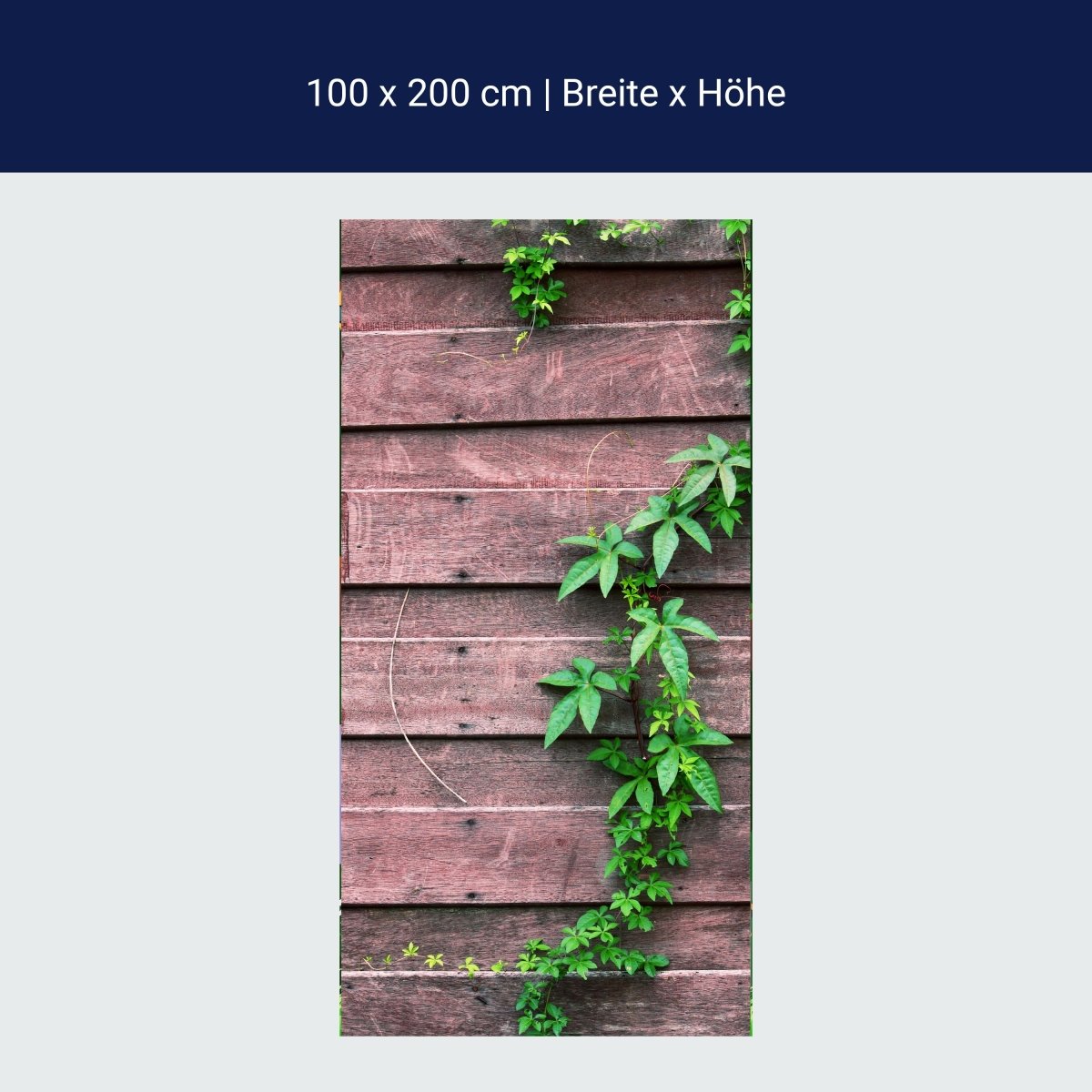Türtapete Wand mit Kletterpflanze M1004