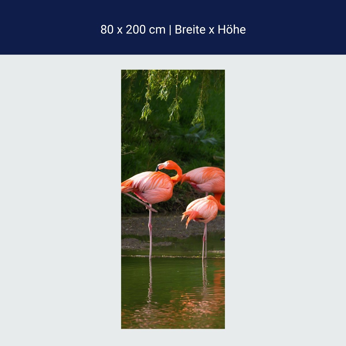 Duschwand Flamingos in einem Pool M1009