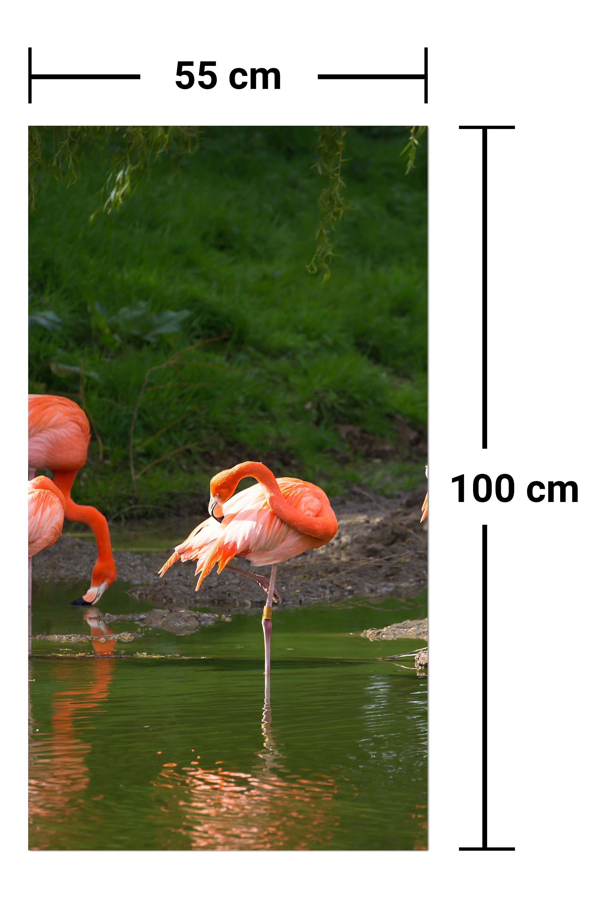 Garderobe Flamingos in einem Pool M1009 entdecken - Bild 7