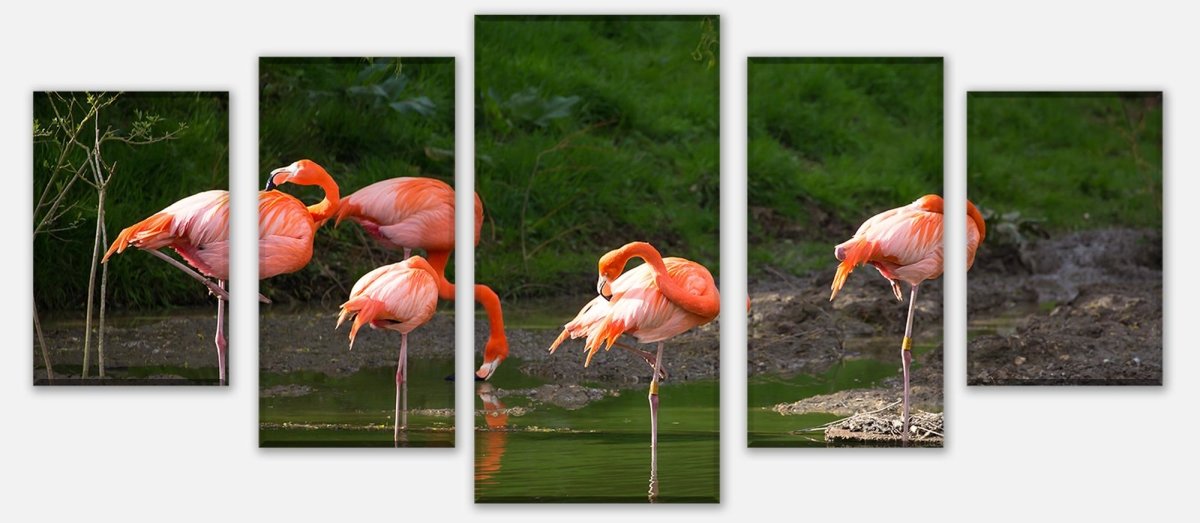 Leinwandbild Mehrteiler Flamingos in einem Pool M1009 entdecken - Bild 1