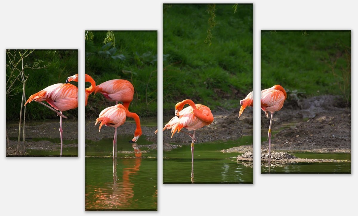 Leinwandbild Mehrteiler Flamingos in einem Pool M1009