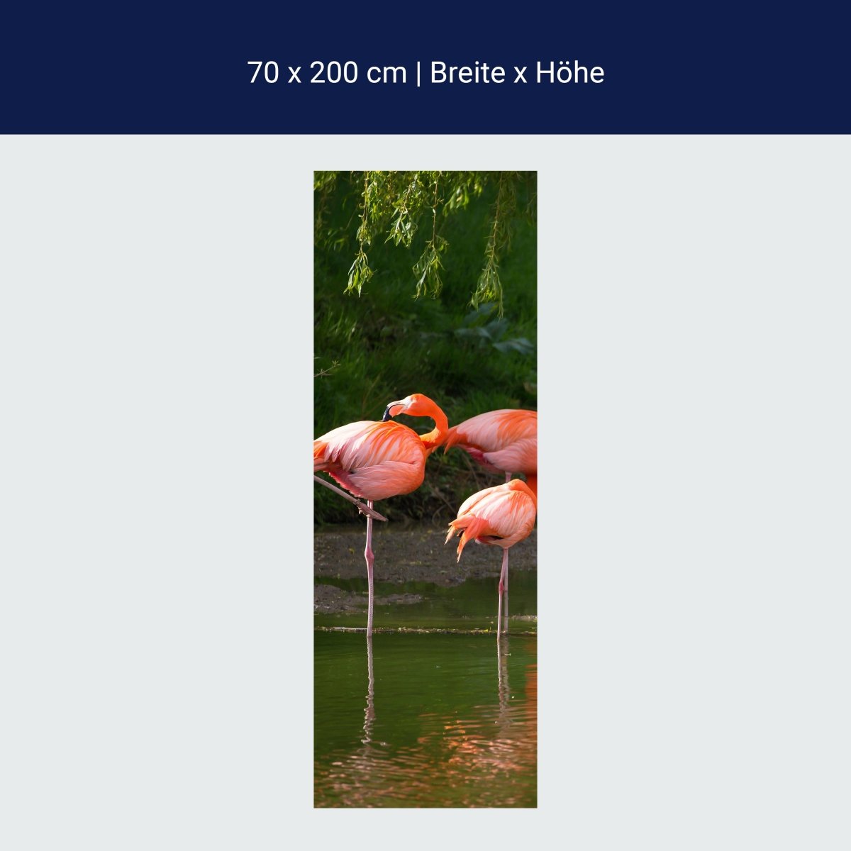 Türtapete Flamingos in einem Pool M1009