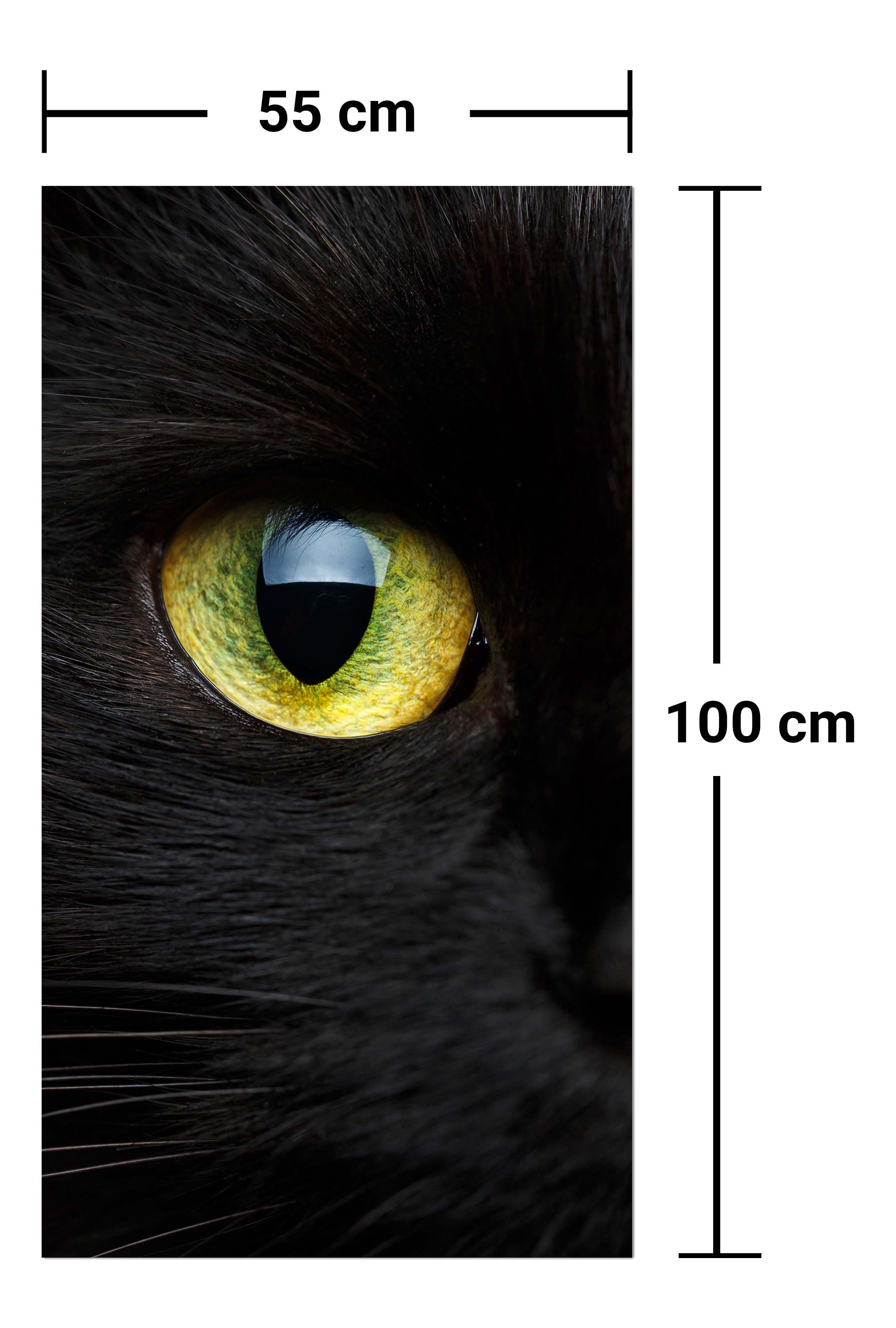 Garderobe Nahaufnahme der schwarzen Katze M1013 entdecken - Bild 7