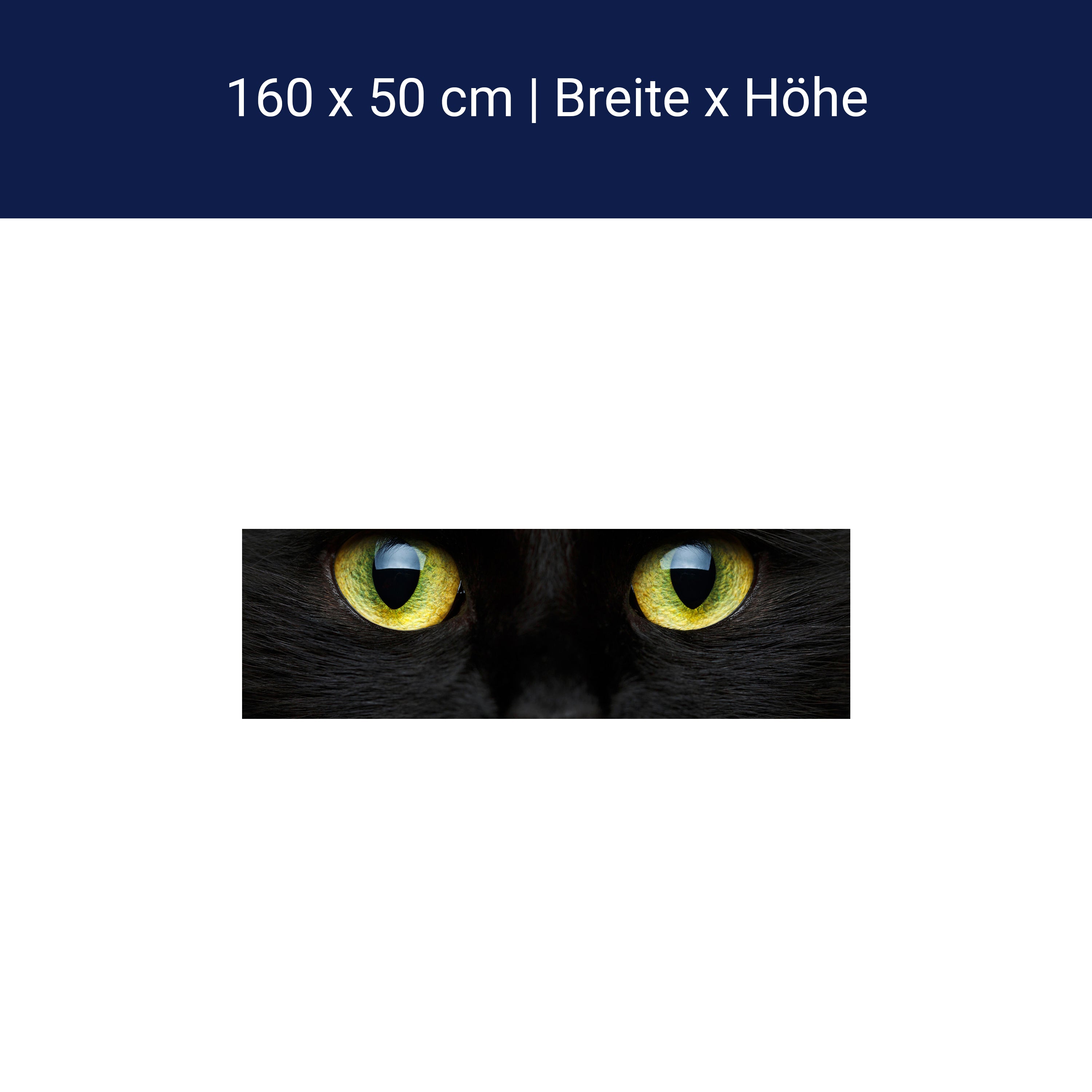 Küchenrückwand Nahaufnahme der schwarzen Katze M1013