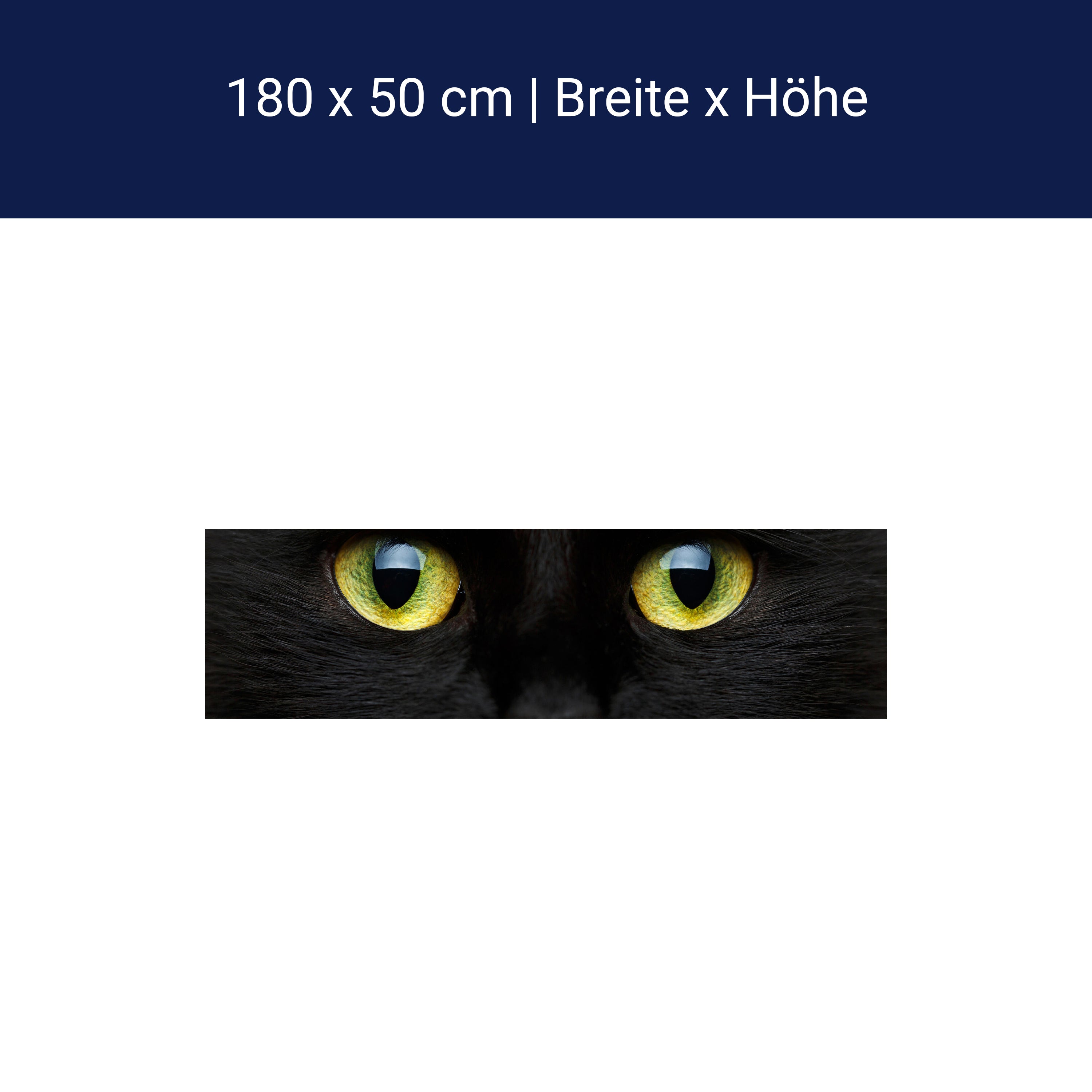Küchenrückwand Nahaufnahme der schwarzen Katze M1013