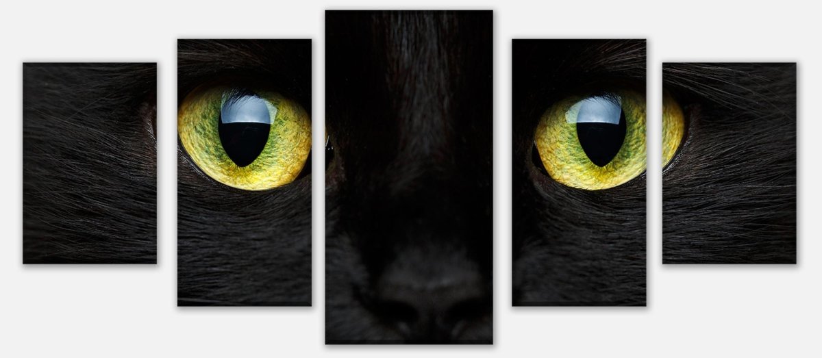 Leinwandbild Mehrteiler Nahaufnahme der schwarzen Katze M1013 entdecken - Bild 1