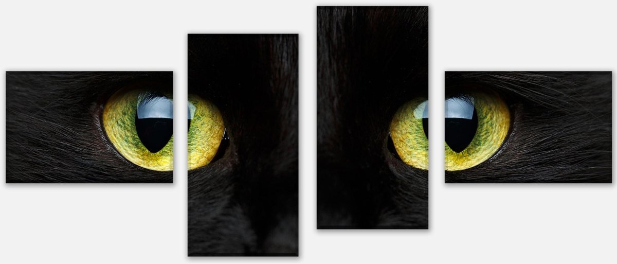 Leinwandbild Mehrteiler Nahaufnahme der schwarzen Katze M1013