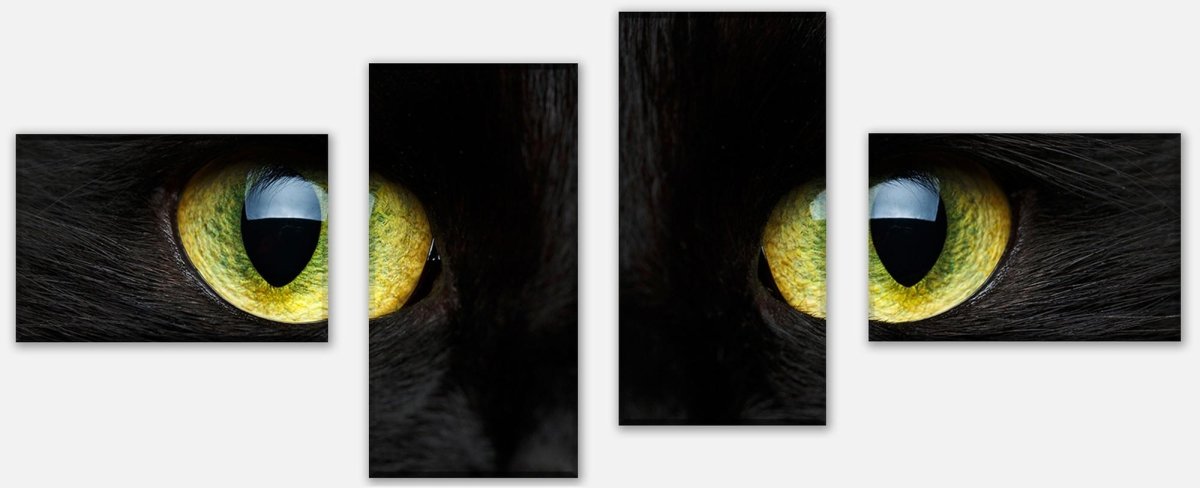 Tableau sur toile Multi-pièces Gros plan du chat noir M1013