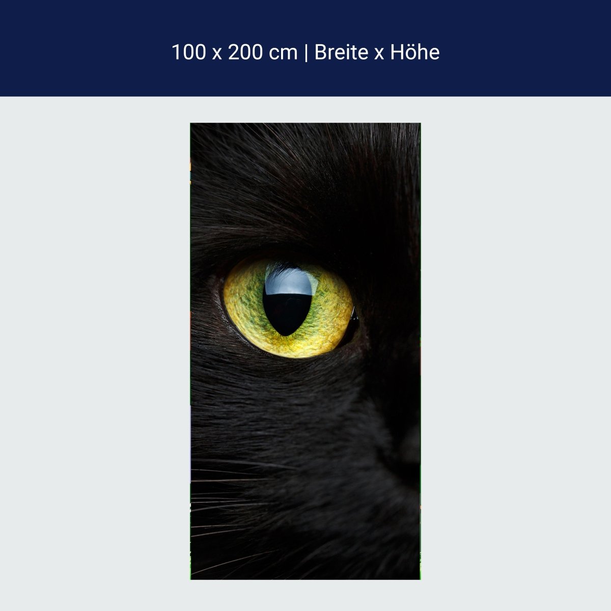 Türtapete Nahaufnahme der schwarzen Katze M1013
