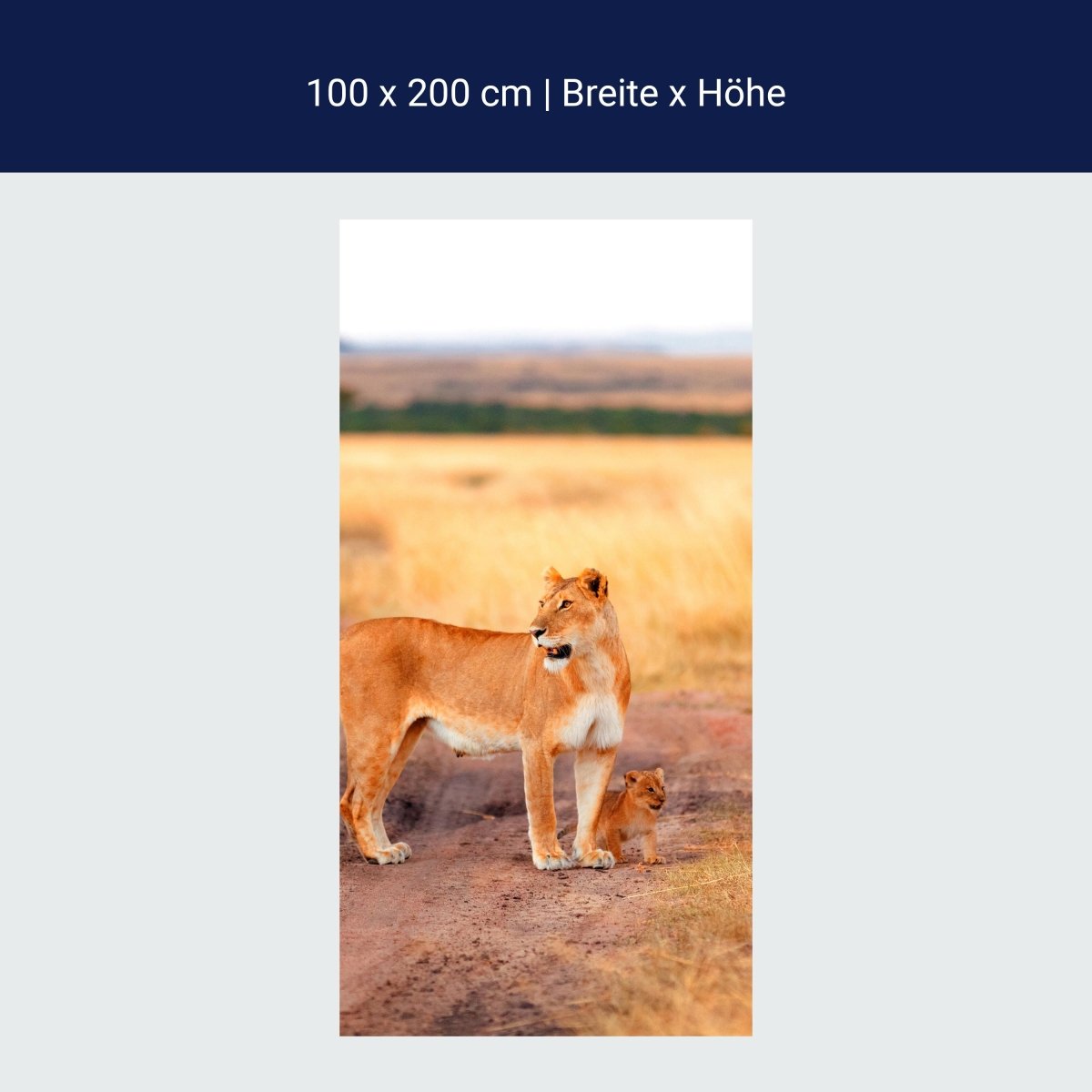 Duschwand Löwe mit einem Jungen, Kenia M1020