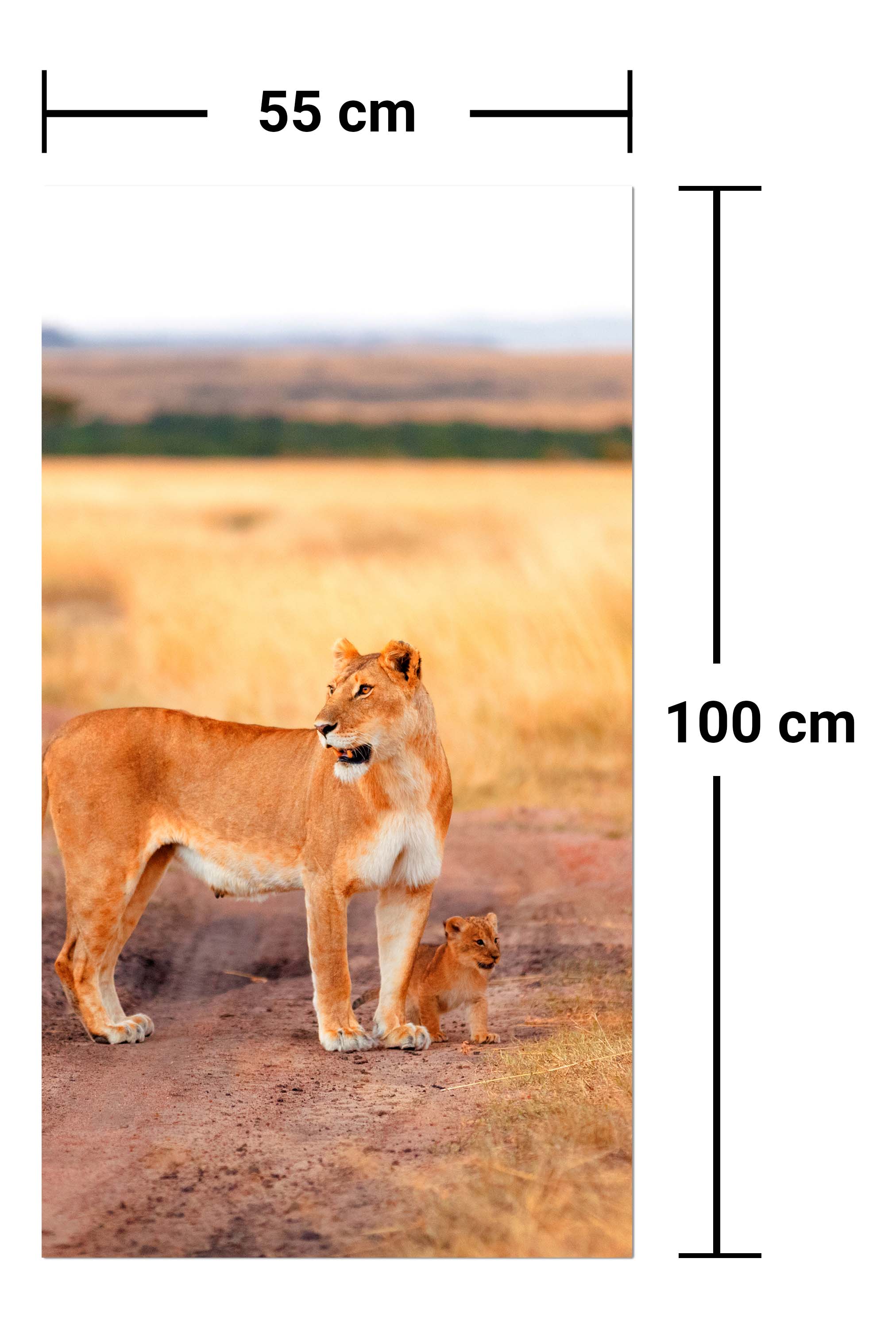 Garderobe Löwe mit einem Jungen, Kenia M1020 entdecken - Bild 7