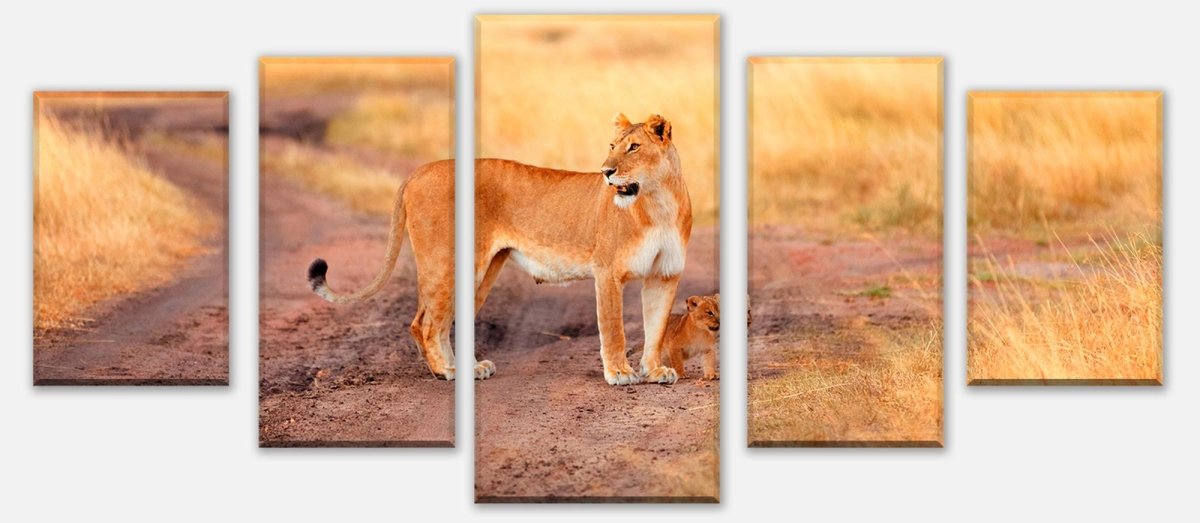 Leinwandbild Mehrteiler Löwe mit einem Jungen, Kenia M1020 entdecken - Bild 1