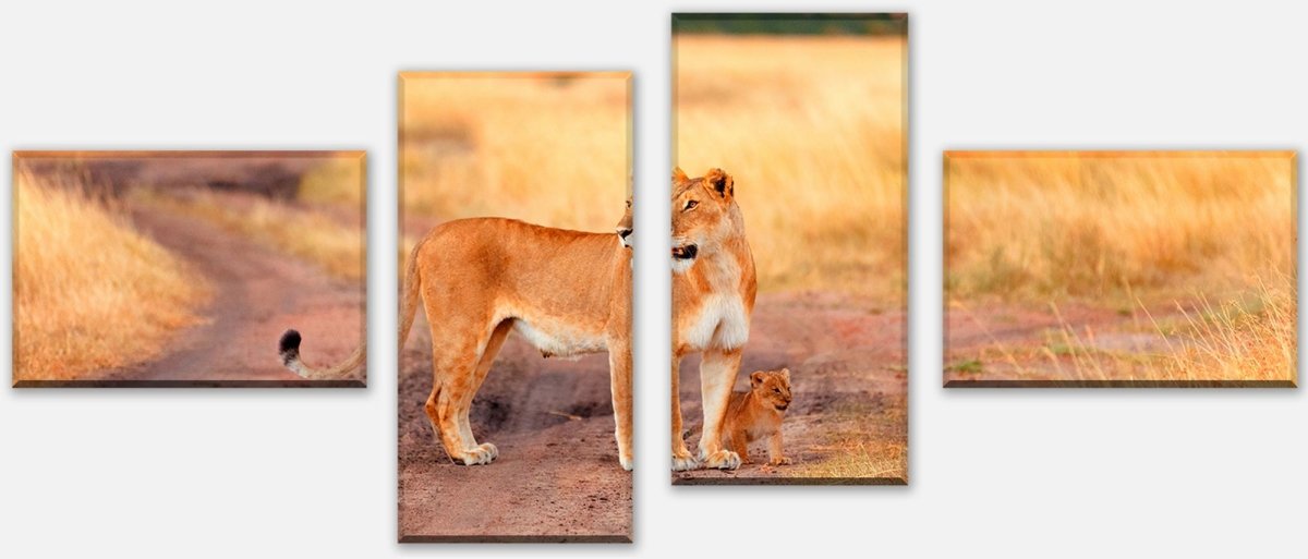 Leinwandbild Mehrteiler Löwe mit einem Jungen, Kenia M1020