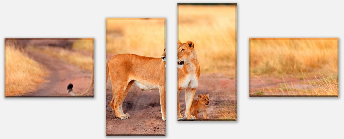 Tableau sur toile Panneau Lion avec un petit, Kenya M1020