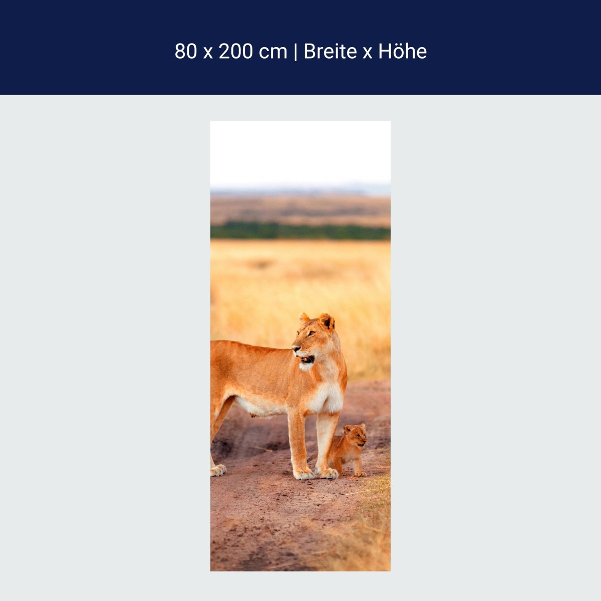 Door wallpaper lion with a cub, Kenya M1020