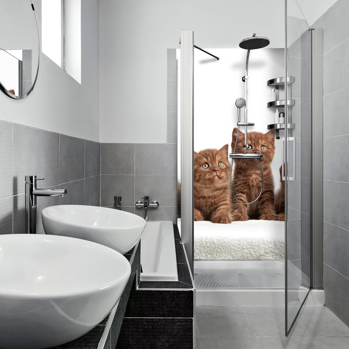 Duschwand Portrait von sechs braunen Kätzchen M1022 entdecken - Bild 1