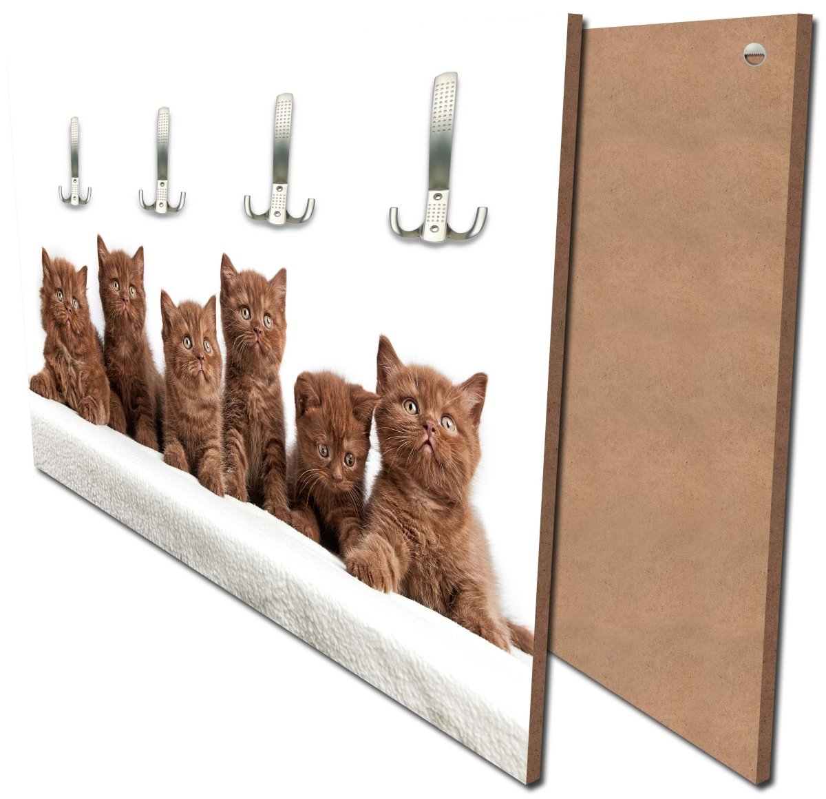 Portrait d'armoire de six chatons britanniques bruns M1022