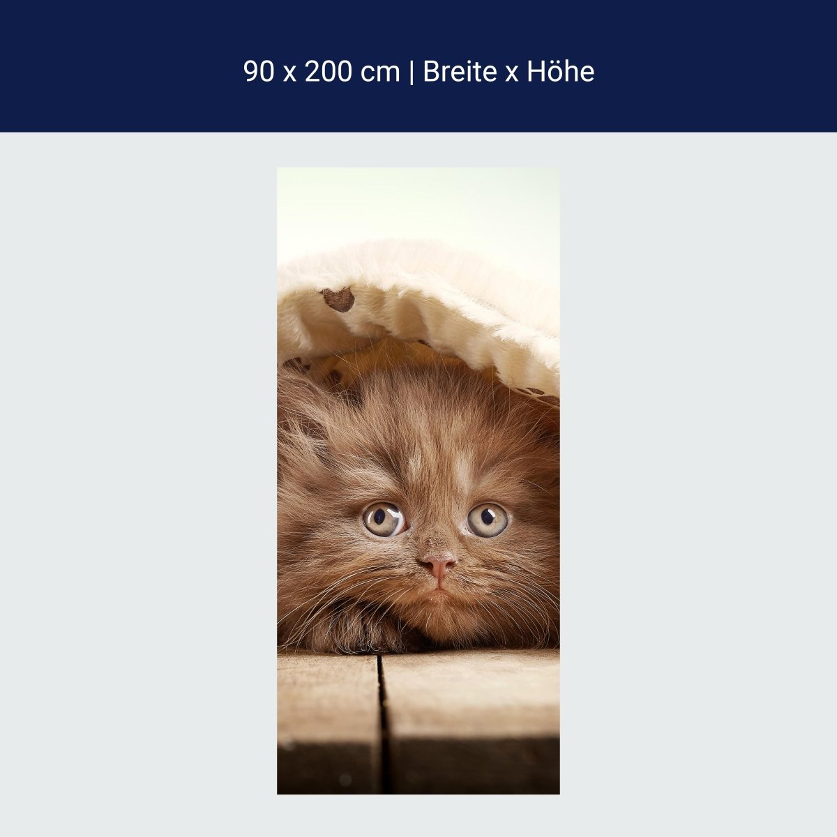 Paroi de Douche Marron British Longhair Kitten M1023