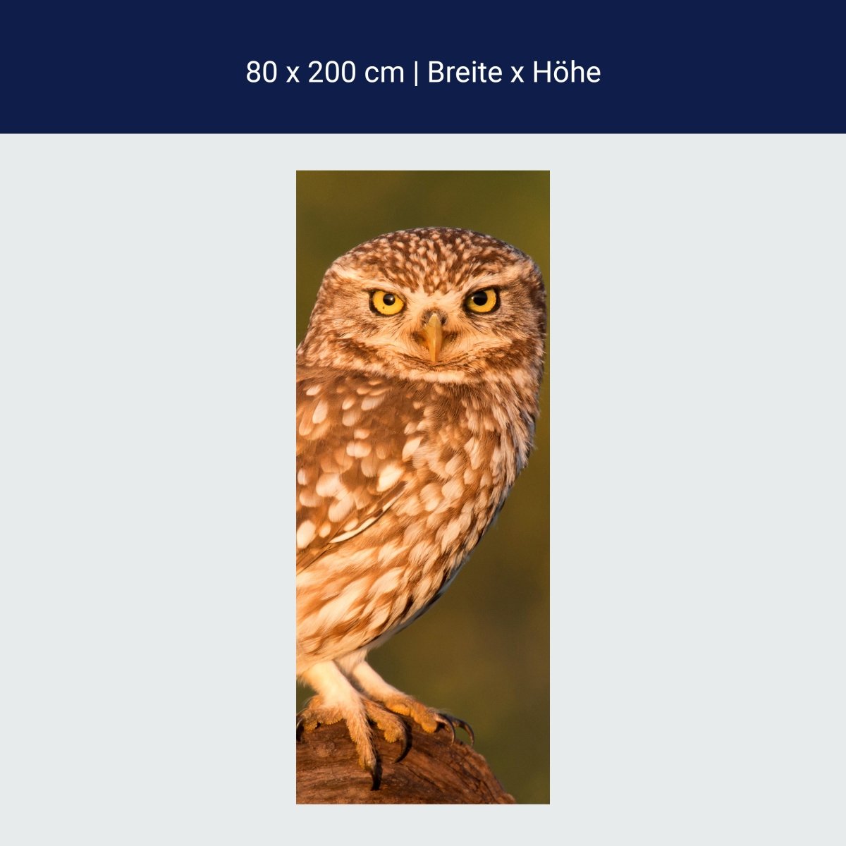 Little owl shower screen, tree trunk M1026