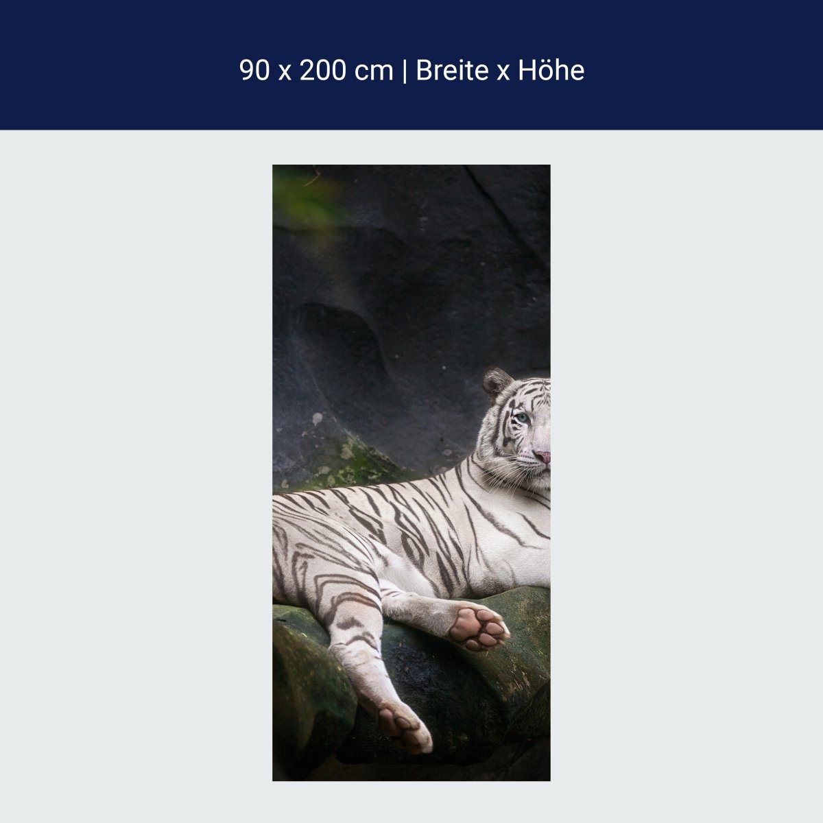 Duschwand Weißer Tiger, Höhle M1027