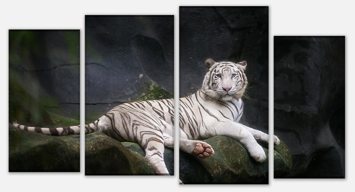 Leinwandbild Mehrteiler Weißer Tiger sitzt in der Höhle M1027