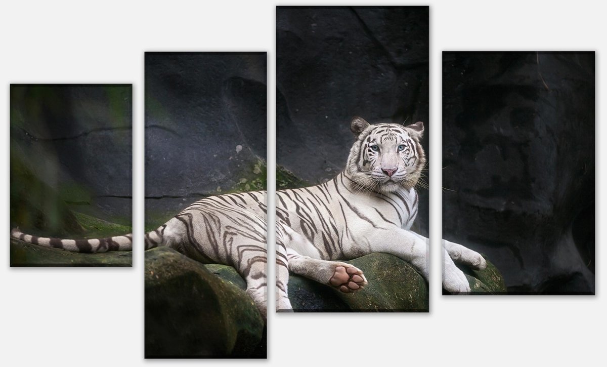 Tableau sur toile Tigre blanc assis dans la tanière M1027