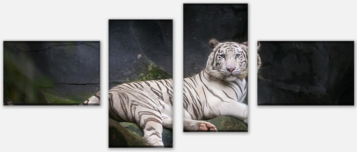 Tableau sur toile Tigre blanc assis dans la tanière M1027