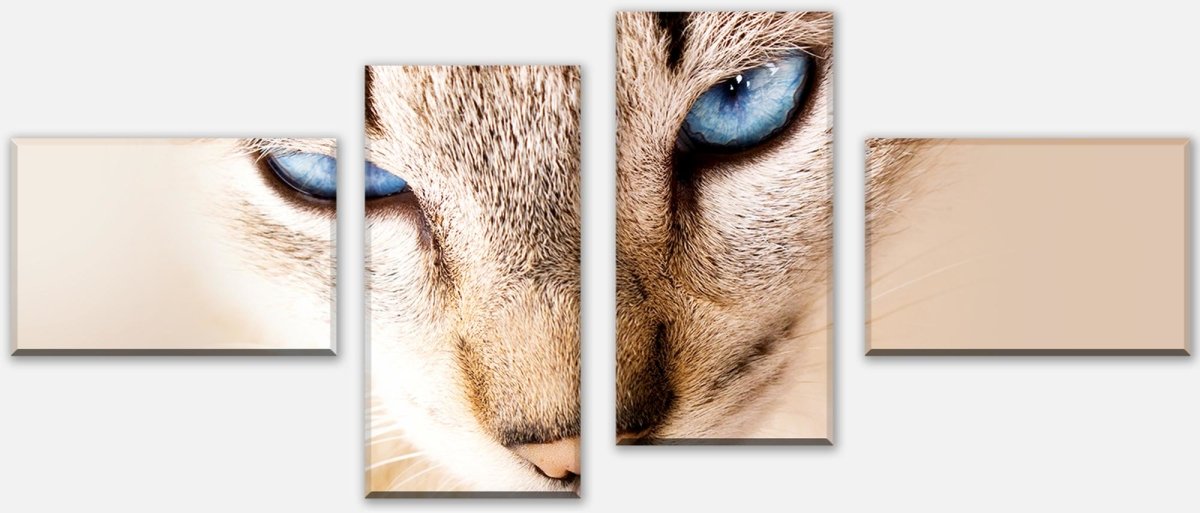 Leinwandbild Mehrteiler Nettes weißes Katzenporträt M1028