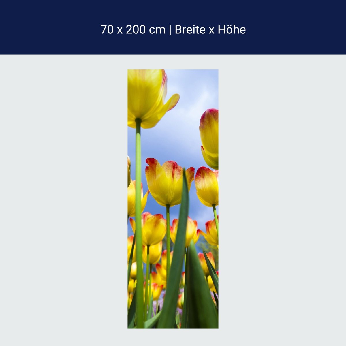 Shower screen Tulips M1029