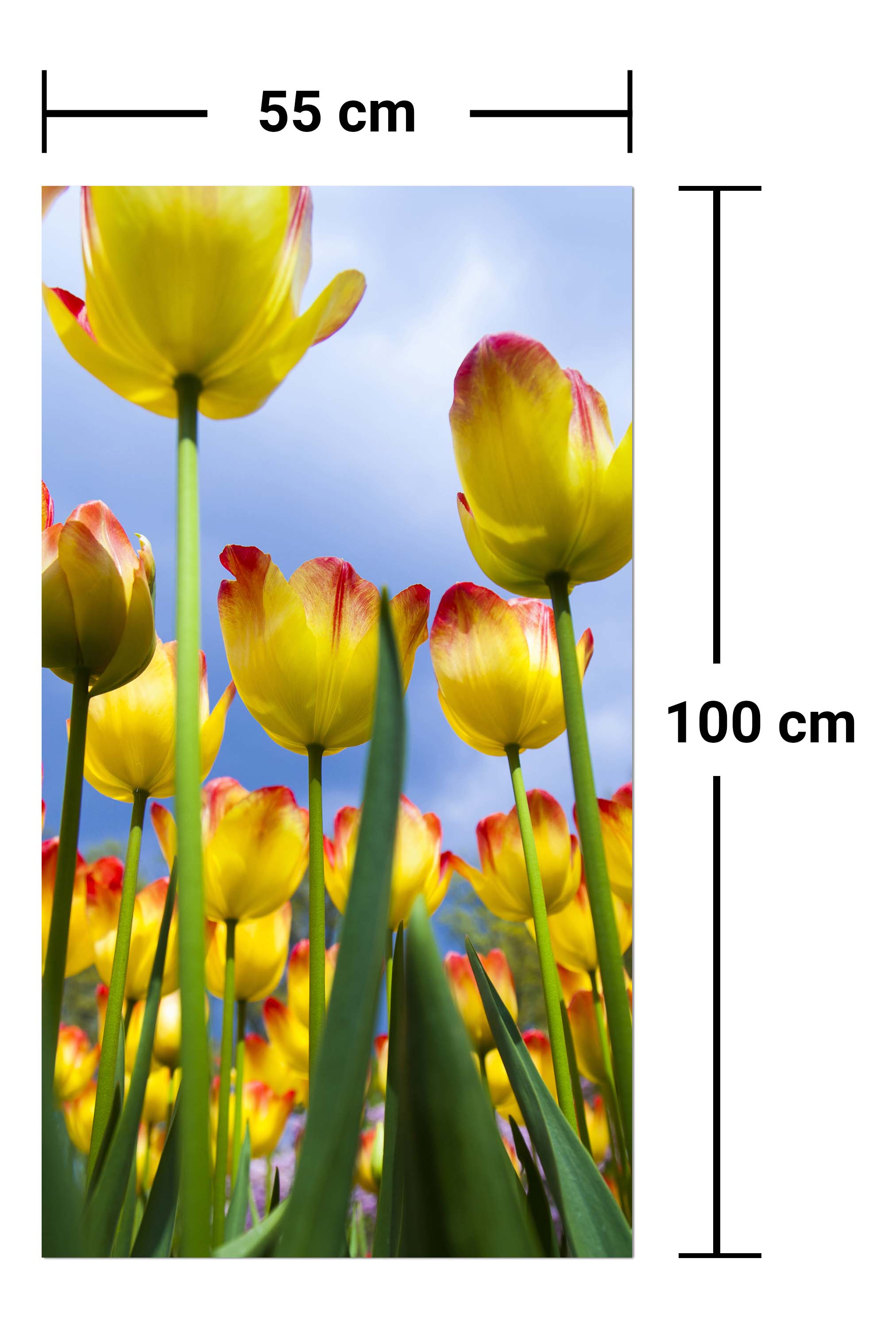 Garderobe Tulpen M1029 entdecken - Bild 7