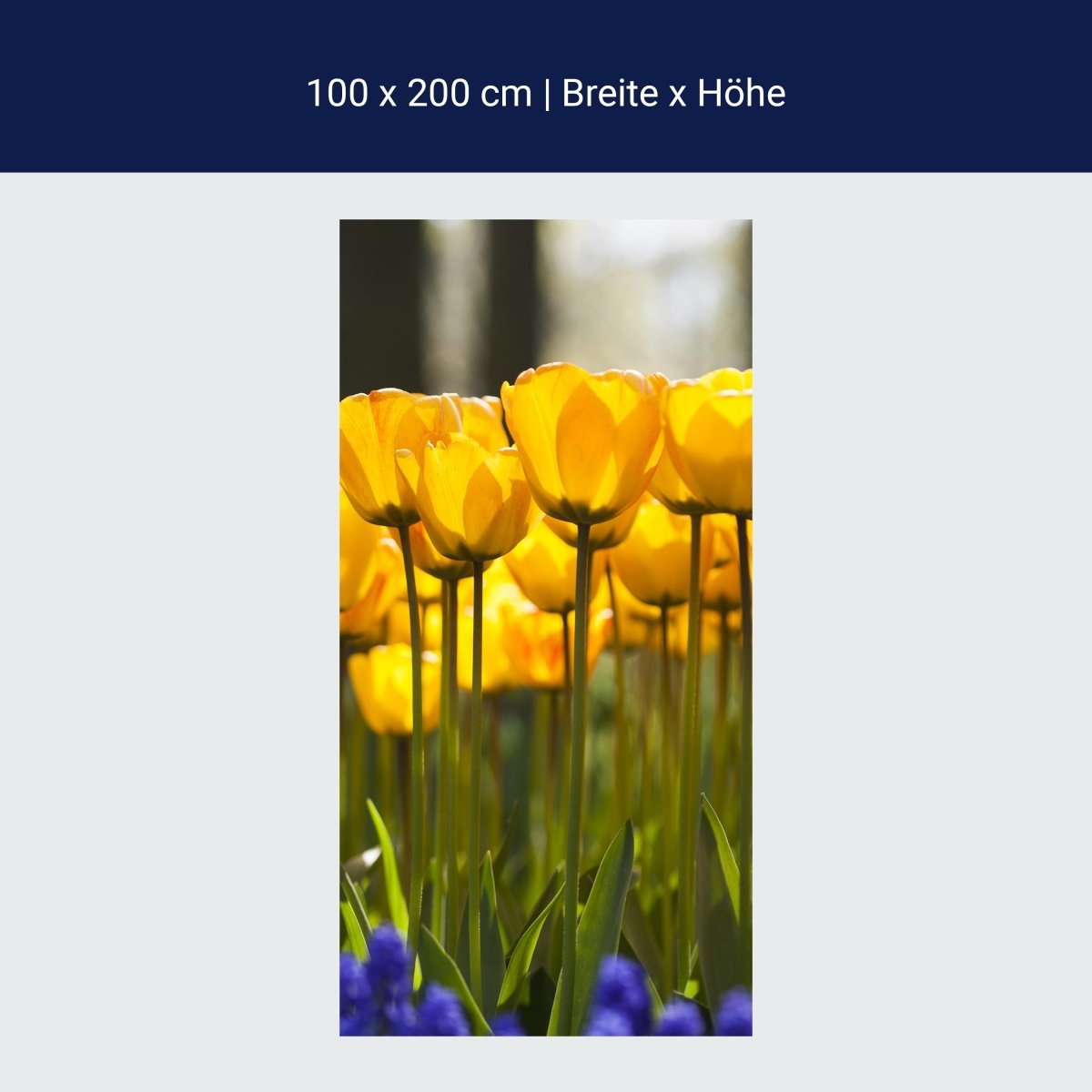Duschwand Tulpen im Garten M1030