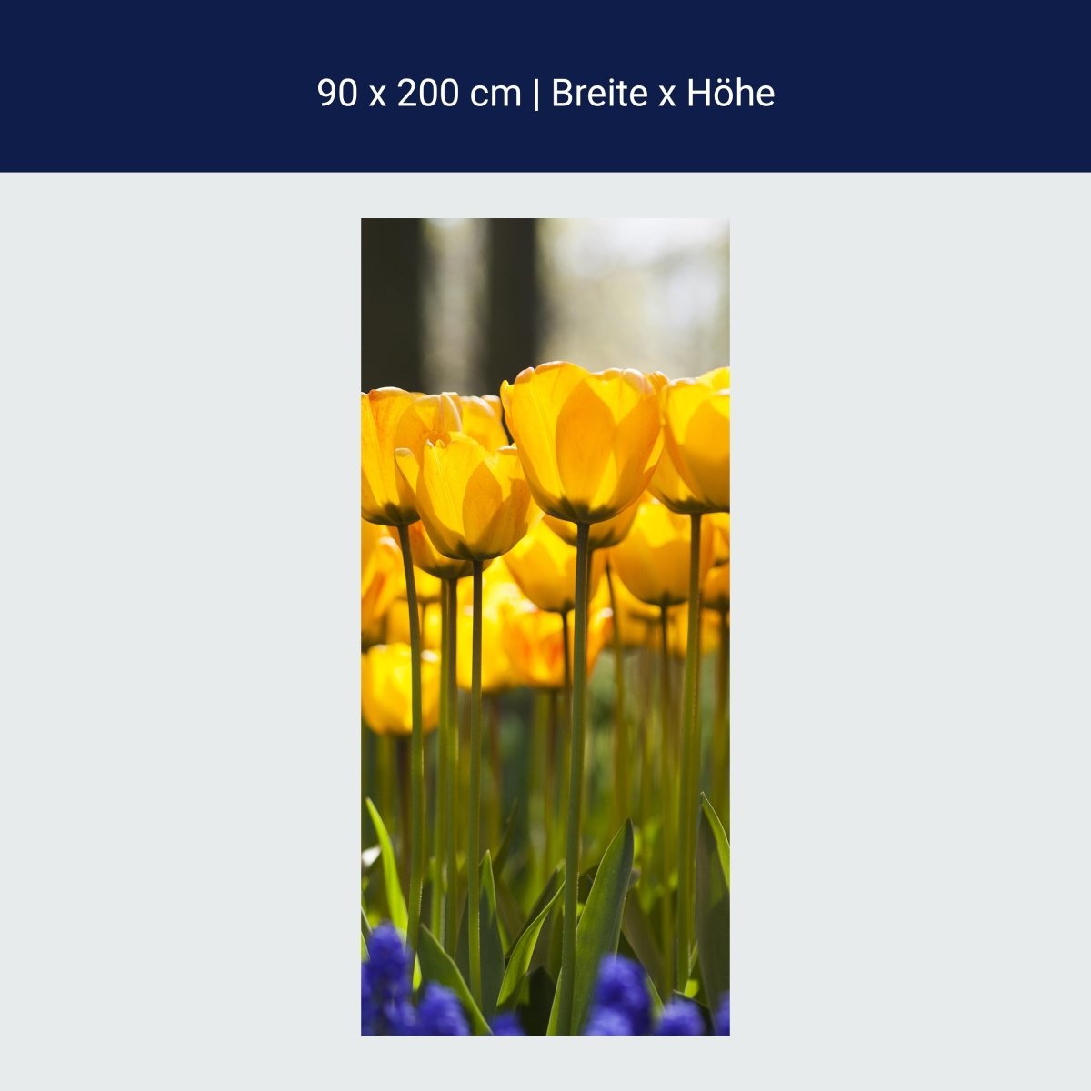 Türtapete Tulpen im Garten M1030