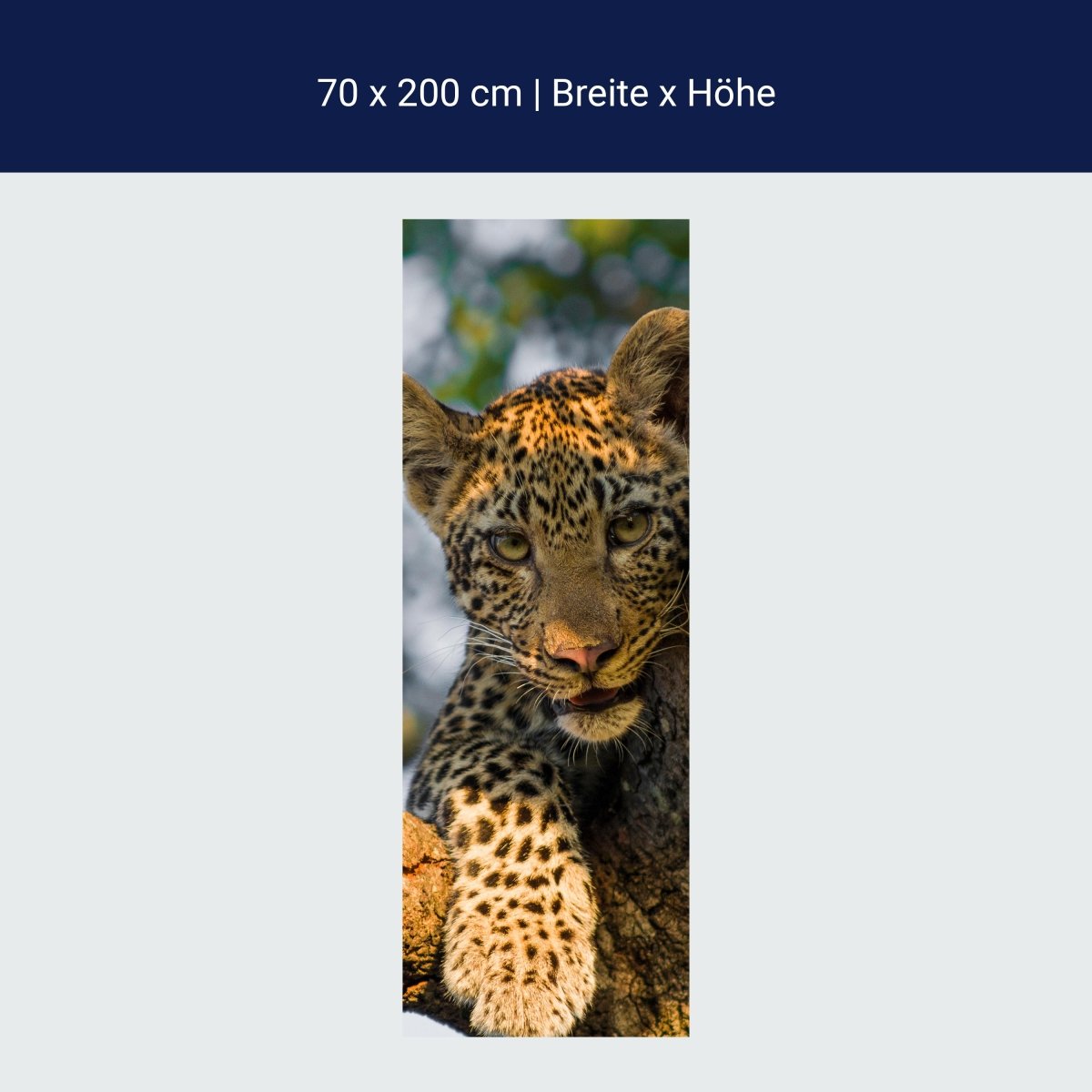 Duschwand Leopard in Südafrika M1032