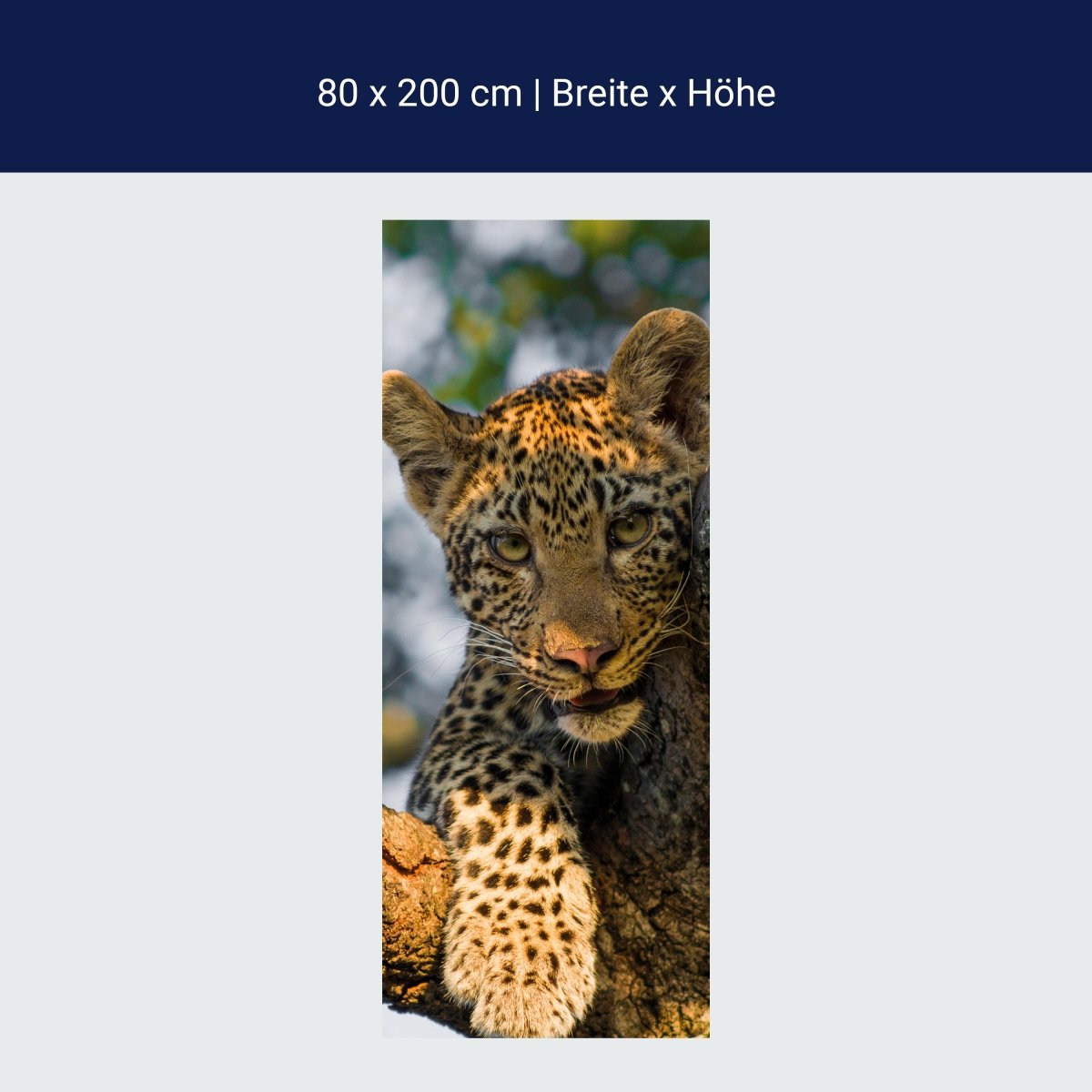 Duschwand Leopard in Südafrika M1032
