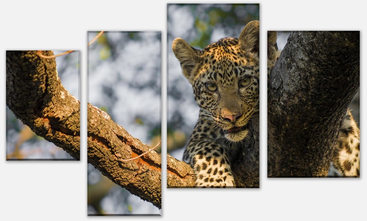 Leinwandbild Mehrteiler Leopard in Südafrika M1032