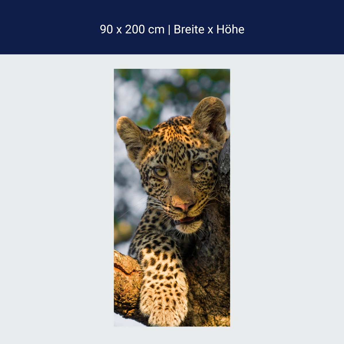 Türtapete Leopard in Südafrika M1032