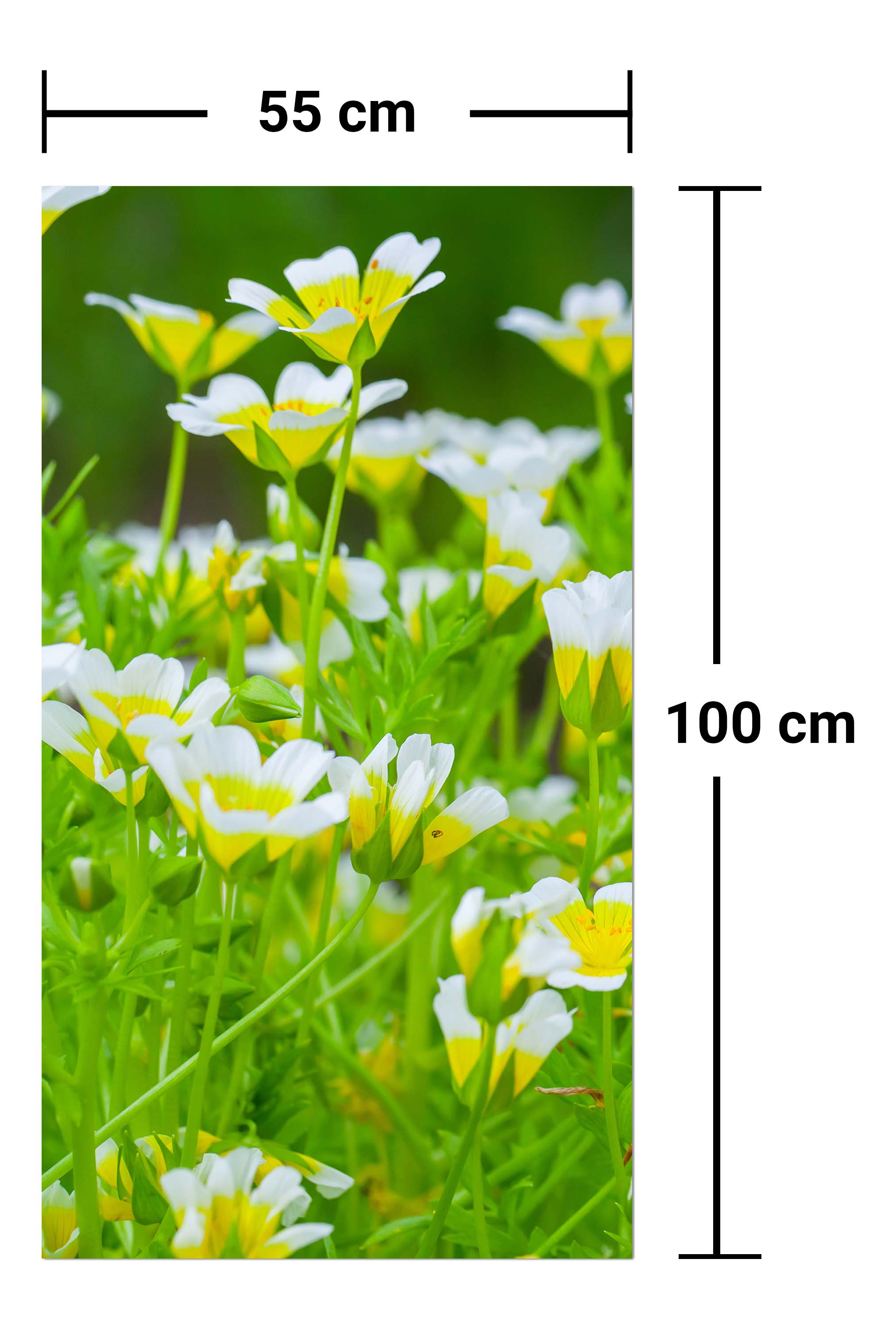 Garderobe Blumen, die im Sommergarten wachsen M1039 entdecken - Bild 7