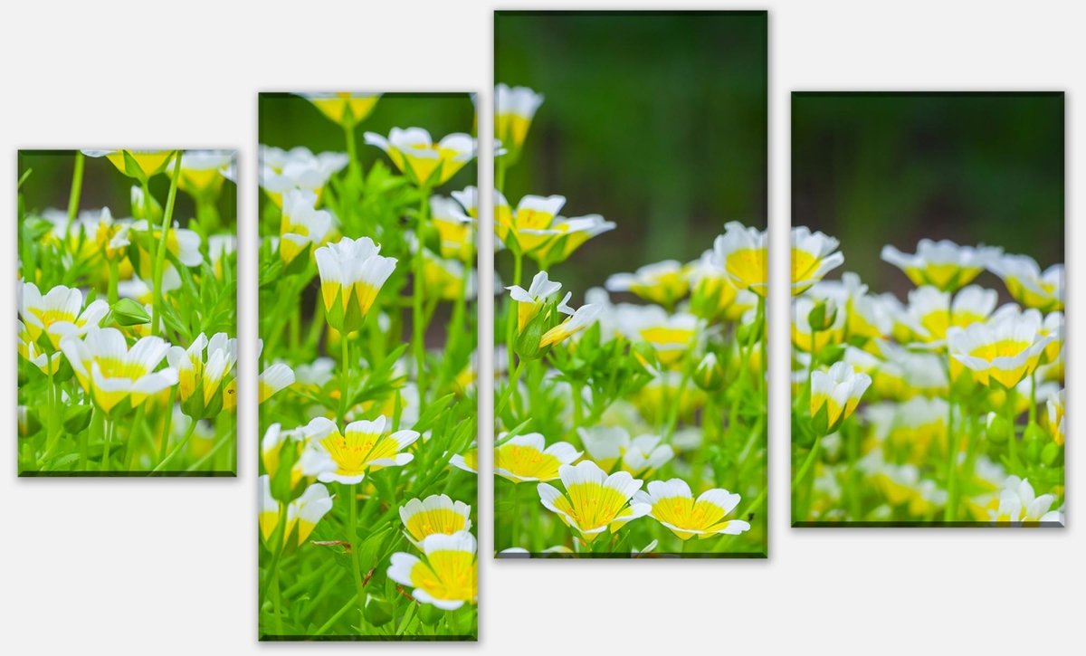 Leinwandbild Mehrteiler Blumen, die im Sommergarten wachsen M1039