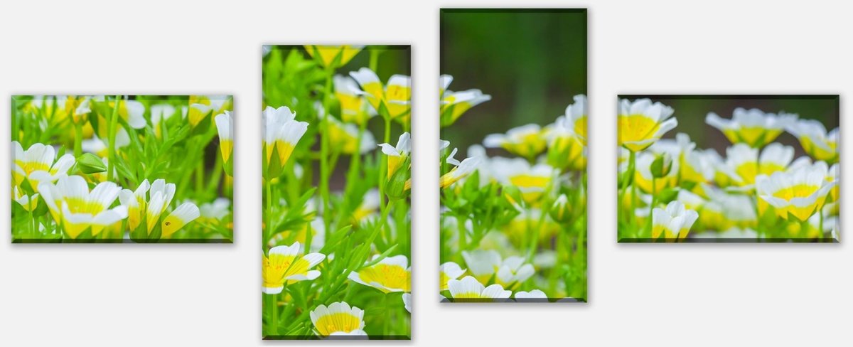 Leinwandbild Mehrteiler Blumen, die im Sommergarten wachsen M1039