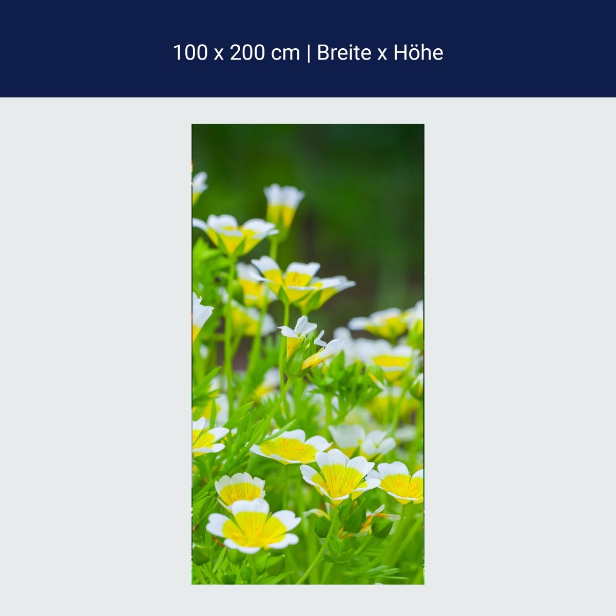 Türtapete Blumen, die im Sommergarten wachsen M1039