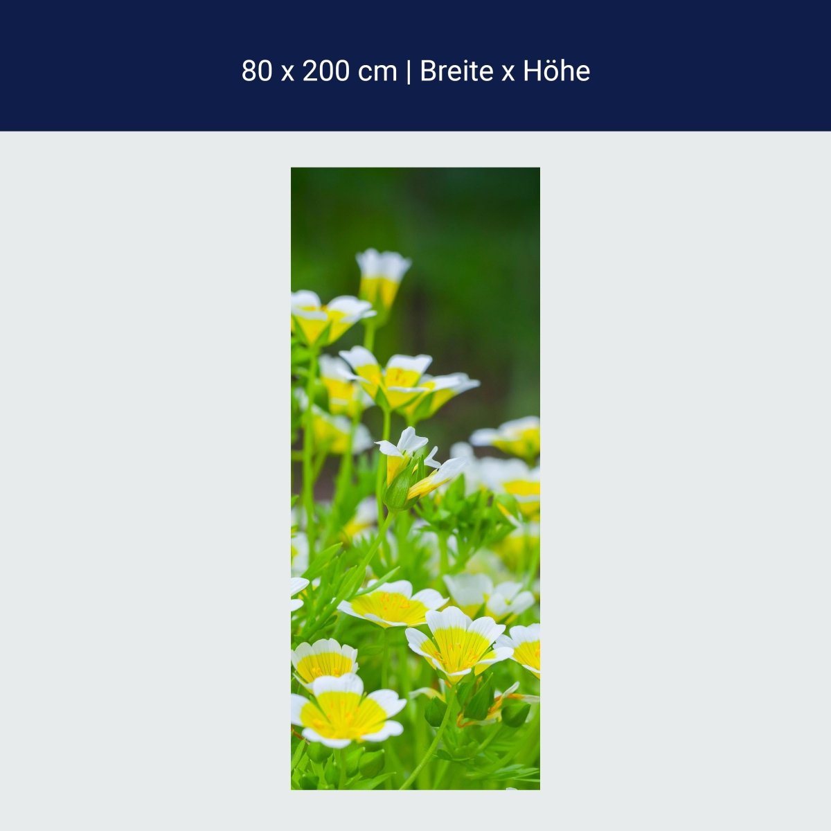 Türtapete Blumen, die im Sommergarten wachsen M1039