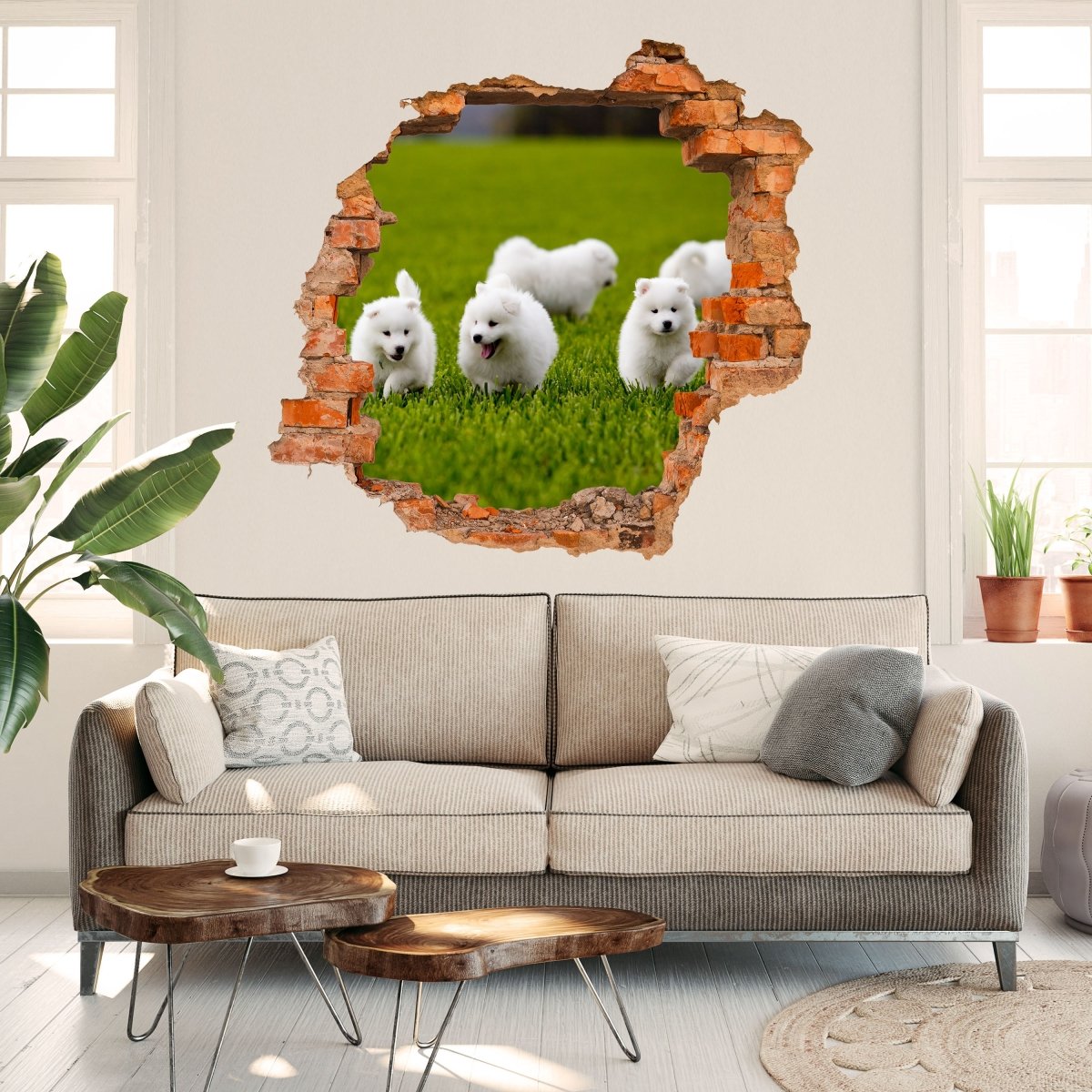 3D wall sticker Samoyed dog - Wall Decal M1043