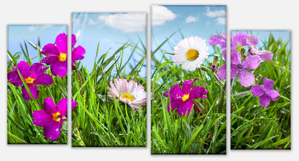Stretched canvas print Flowering meadow under a blue sky M1044